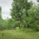 Chernobyl light pole thumbnail
