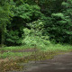 Chernobyl parking lot thumbnail