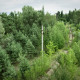 Chernobyl railroad thumbnail